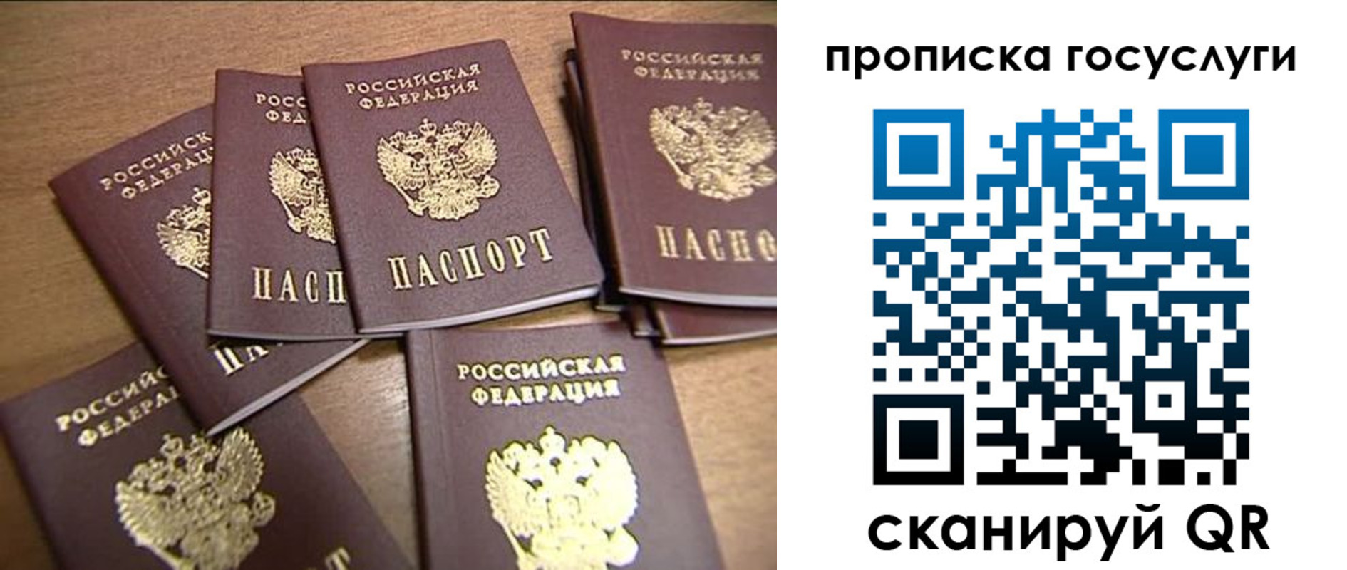 прописка для работы в Ардоне